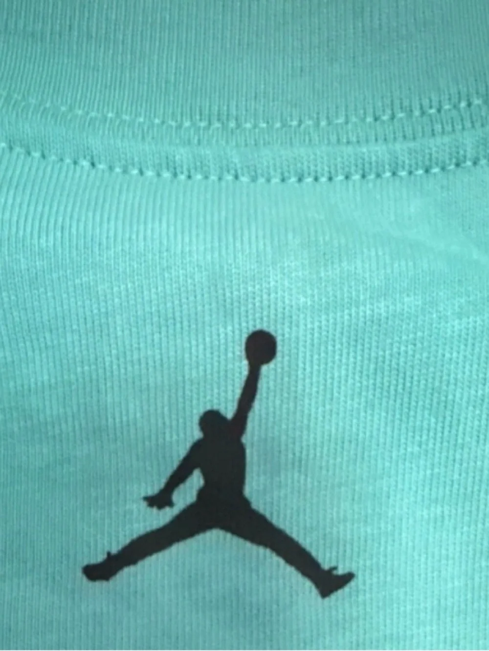 Jordan Jumpman Air Jordan 1 Teal Men's T-Shirt L Embroidered Logo Crew Neck